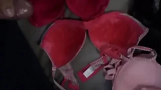 한국야동 변태 시리즈 - 차안 브래지어 위에다가 사정하는놈